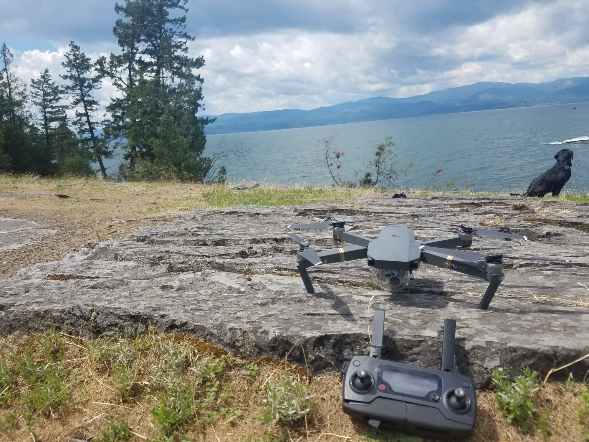 DJI Mavic Pro review and video. Top drone reviews, best drones and more.